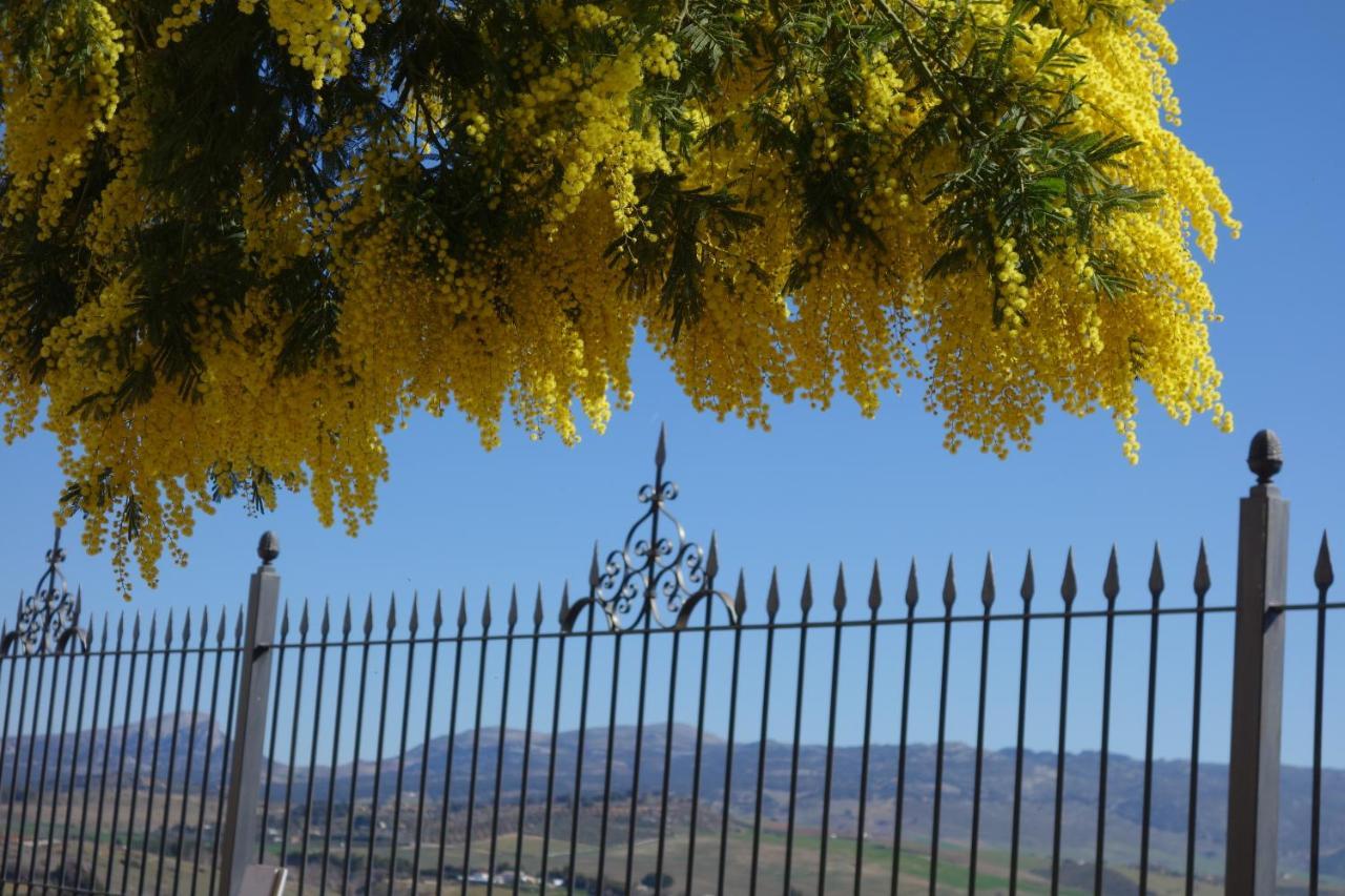 La Escondida Ronda, B&B Exteriör bild